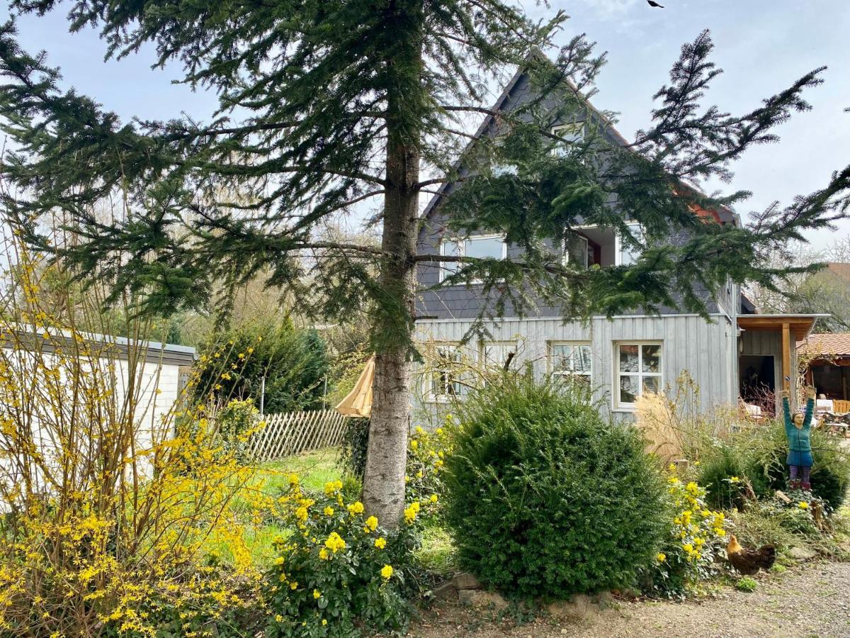 Gronocottage 바트하르추부르크 외부 사진